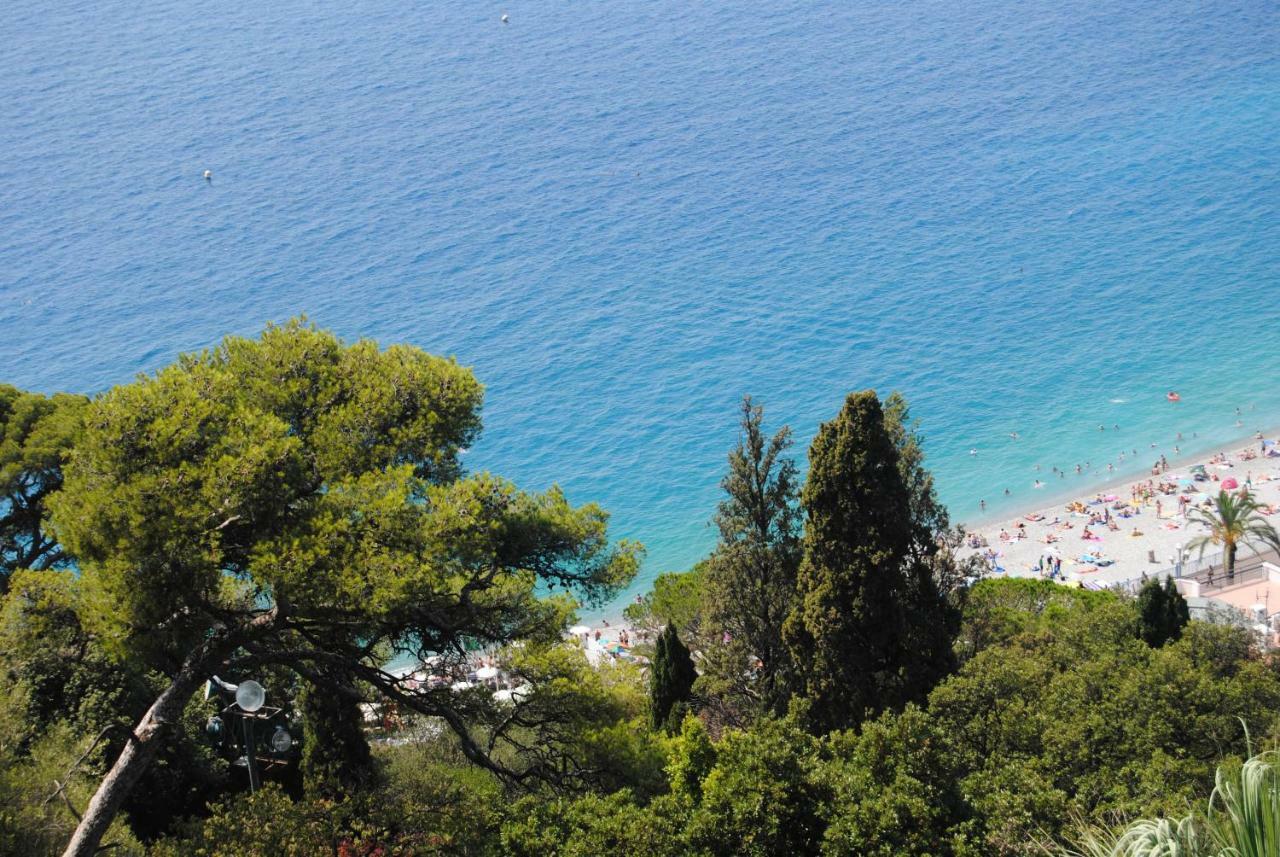 Les Palmiers A 700M De La Mer นีซ ภายนอก รูปภาพ